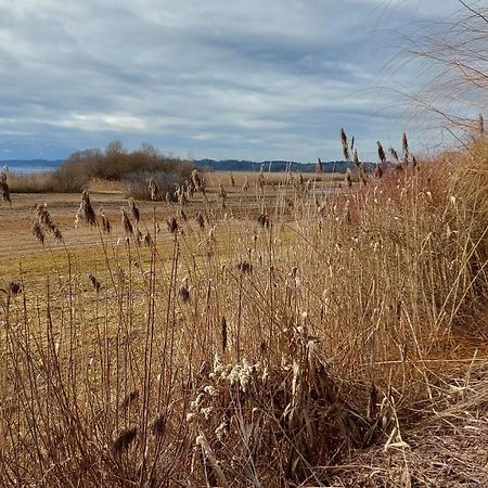 Tiny X Im Marxhof Seebruck Am Chiemsee Сион-Зеебрук Екстериор снимка